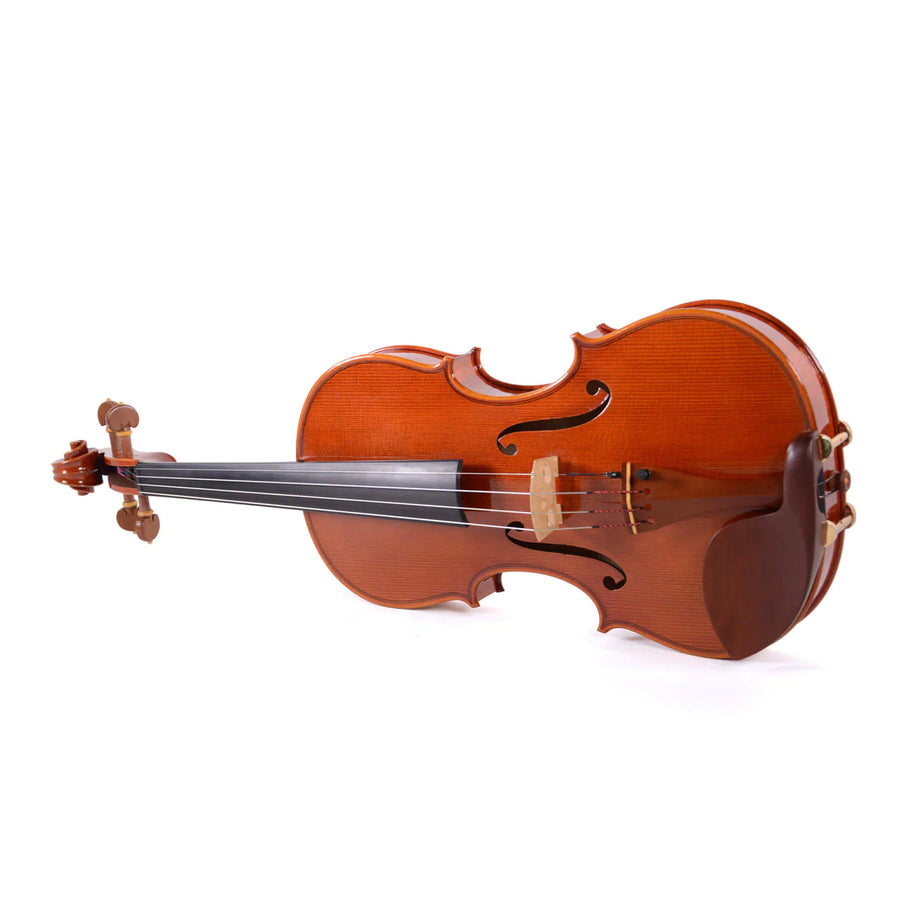 Holstein violin on sale