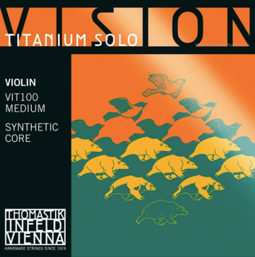 Vision Titanium Solo 4/4 Violin Set