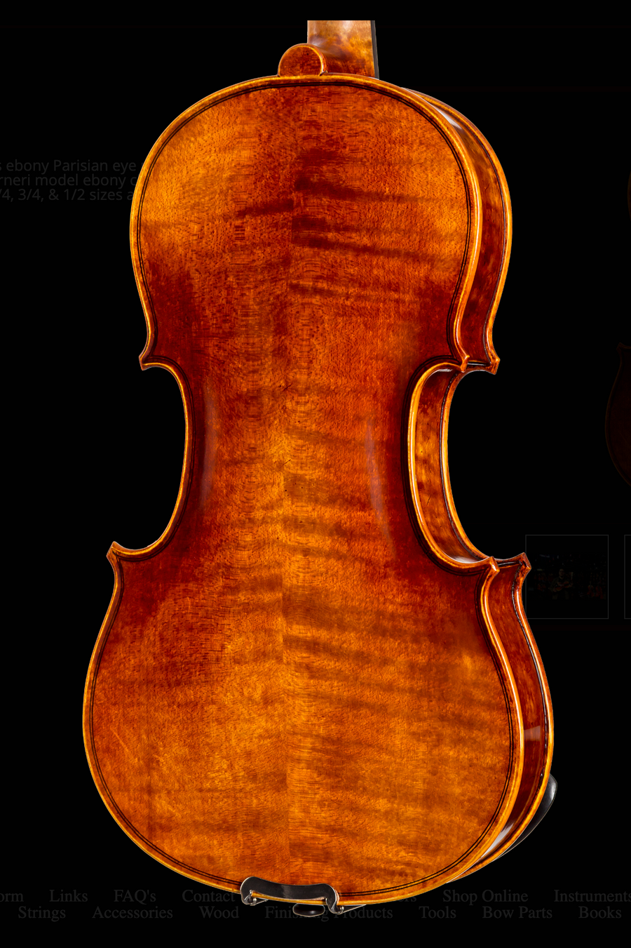 Evah Pirazzi Viola C String & Accessories