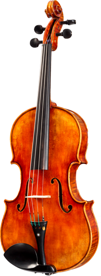 Santus Serafin (S20) Viola